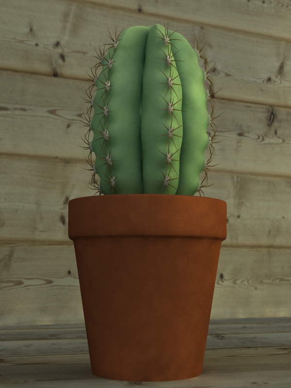 Cactus